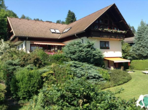 Гостиница Ferienwohnungen Salmen  Пёрчах-Ам-Вёртерзее
